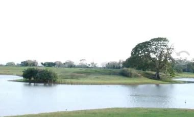 Venta de rancho ubicado en coronel traconis cerca del aeropuerto villahermosa, tabasco.