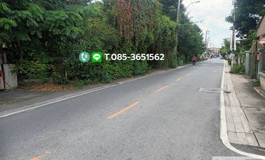 Land For Sale At Soi Tiwanon 600 M. From BTS, Width 95 M. 80,000/sq.wa