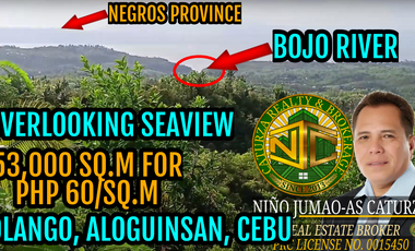 Overlooking lot for sale 53,000 sqm Aloguinsan Cebu Philippines 60/sqm