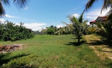 LOTE EN PLAYA BLANCA, ZIHUATANEJO GUERRERO