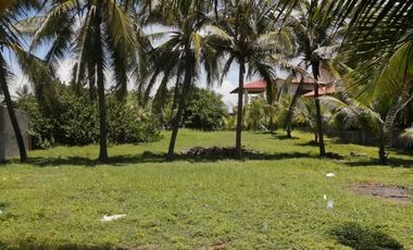 LOTE EN PLAYA BLANCA, ZIHUATANEJO GUERRERO