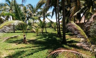 LOTE EN PLAYA BLANCA, ZIHUATANEJO GUERRERO