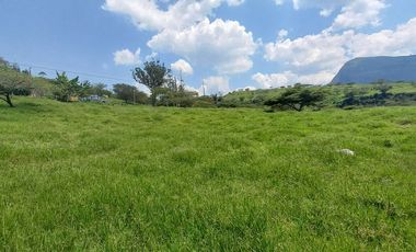 TERRENO EN VENTA EN YUNGUILLA SECTOR GIGANTONES