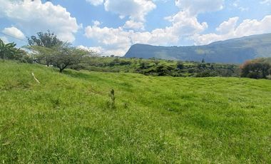 TERRENO EN VENTA EN YUNGUILLA SECTOR GIGANTONES