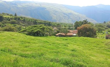 TERRENO EN VENTA EN YUNGUILLA SECTOR GIGANTONES