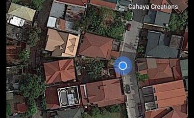 For Sale Lot only in Gatchalian, Las Pinas City, Metro Manila