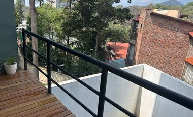 Renta departamento amueblado