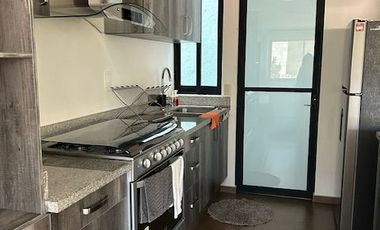 Renta departamento amueblado