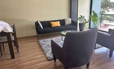 Renta departamento amueblado