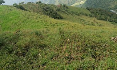 Venta Finca Ganadera y Agrícola Angelópolis Antioquia