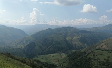 Venta Finca Ganadera y Agrícola Angelópolis Antioquia