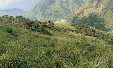 Venta Finca Ganadera y Agrícola Angelópolis Antioquia
