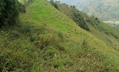 Venta Finca Ganadera y Agrícola Angelópolis Antioquia