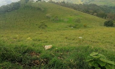 Venta Finca Ganadera y Agrícola Angelópolis Antioquia