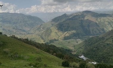 Venta Finca Ganadera y Agrícola Angelópolis Antioquia
