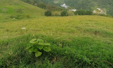 Venta Finca Ganadera y Agrícola Angelópolis Antioquia
