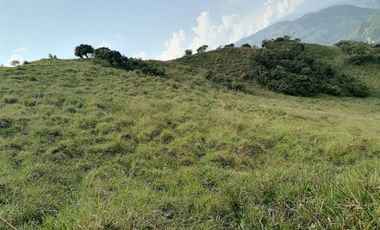 Venta Finca Ganadera y Agrícola Angelópolis Antioquia