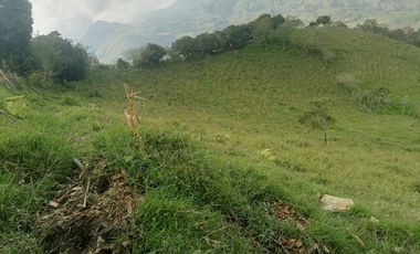 Venta Finca Ganadera y Agrícola Angelópolis Antioquia