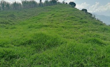 Venta Finca Ganadera y Agrícola Angelópolis Antioquia