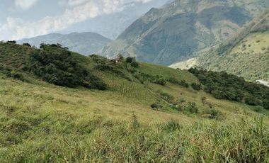 Venta Finca Ganadera y Agrícola Angelópolis Antioquia