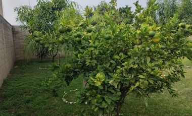 CASA SOLA EN CUAUTLA, MOR.