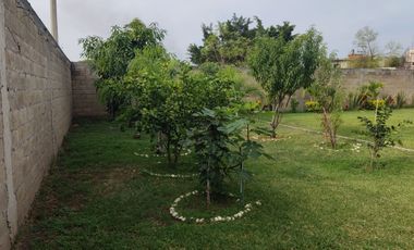 CASA SOLA EN CUAUTLA, MOR.