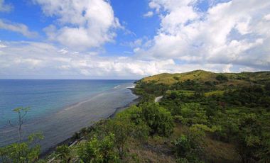 FOR SALE - Agricultural Vacant Lot in Brgy. Agpudlos, San Andres, Romblon, Tablas Island