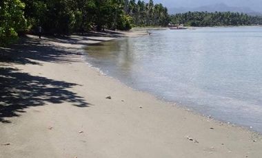 1,700 SQM LOT 20-METER BEAH FRONTAGE PER LOT; WITH A TOTAL OF 1.5 HECTARES (15,600 SQM) BEACHFRON PARCEL, BRGY. BUNOG, MUN. RIZAL, PALAWAN, PHILIPPINES