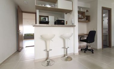 ALQUILER  APARTAESTUDIO AMOBLADO POR MES O MESES EN CAÑAVERAL