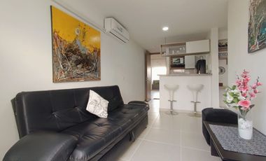 ALQUILER  APARTAESTUDIO AMOBLADO POR MES O MESES EN CAÑAVERAL