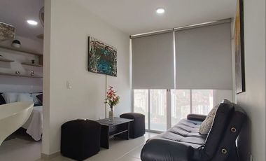 ALQUILER  APARTAESTUDIO AMOBLADO POR MES O MESES EN CAÑAVERAL