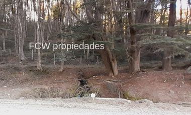 Lotes de 24 hectáreas Puerto Bertrand