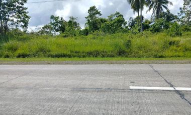 Commercial lot along highway wide frontage in Ubay Bohol 1,000/sqm