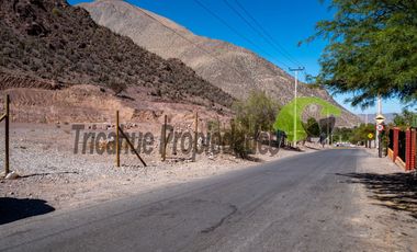Parcela de 5.000 m2, electricidad instalada. Andacollito, Valle del Elqui. $50 millones