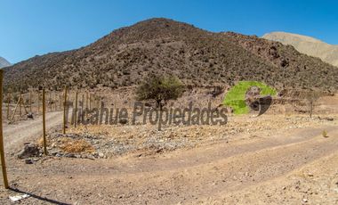 Parcela de 5.000 m2, electricidad instalada. Andacollito, Valle del Elqui. $50 millones
