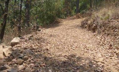 Propiedad de 3 has  en tres puentes( pipioltepec) Ixtla a 8 minutos de valle