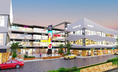 Locales en Preventa Plaza Olivos Carretera Nacional Santiago