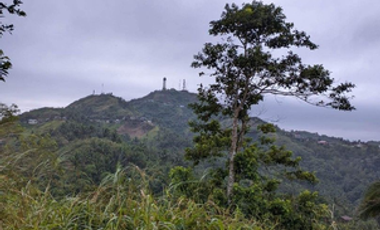 3,000 sqm Lot for Sale in Tagaytay City