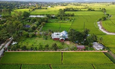 Sustainable Farm House sits on 1.2 Acres Land for SALE surrounded by rice field and mountain view