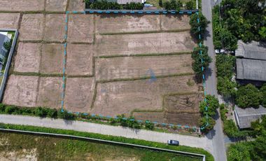 Land with Mountain View for SALE in San Kamphaeng