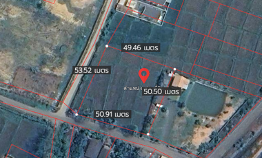 Land with Mountain View for SALE in San Kamphaeng