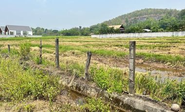 Land with Mountain View for SALE in San Kamphaeng