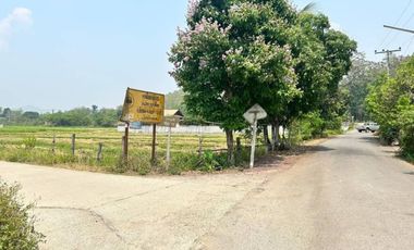 Land with Mountain View for SALE in San Kamphaeng