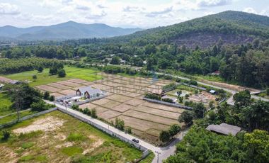 Land with Mountain View for SALE in San Kamphaeng
