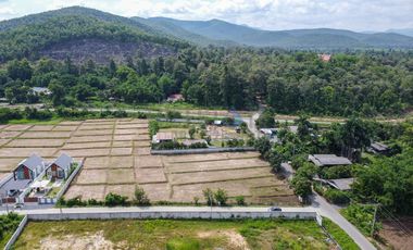 Land with Mountain View for SALE in San Kamphaeng
