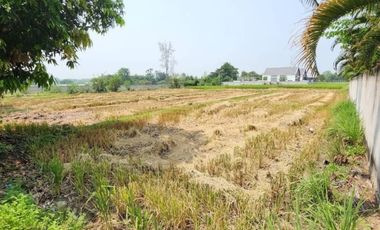 Land with Mountain View for SALE in San Kamphaeng