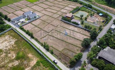 Land with Mountain View for SALE in San Kamphaeng