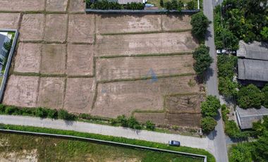 Land with Mountain View for SALE in San Kamphaeng