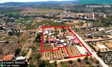 Hacienda Comercial   en  el corazón del  Valle de Guadalupe