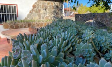 Hacienda Comercial   en  el corazón del  Valle de Guadalupe